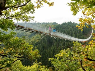 Hängeseilbrücke Geierlay