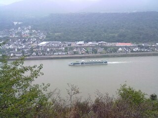 FeWo Blick auf den Rhein