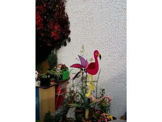 FeWo Garten Vermieter