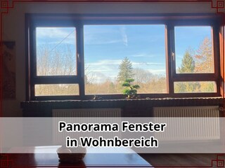 Panoramafenster