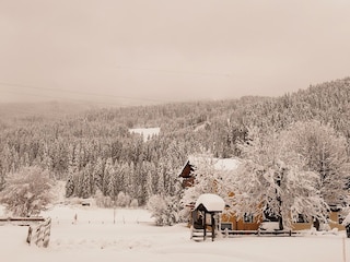 IMG_20231202_094654[1]