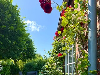 Ferienwohnung Oldsum auf Föhr Ausstattung 7