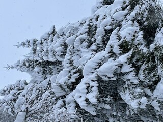 Apartment Wagrain Außenaufnahme 7