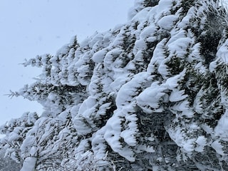 Apartment Wagrain Outdoor Recording 7