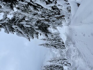 Apartment Wagrain Außenaufnahme 8