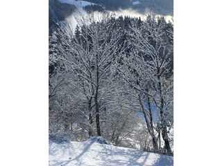 Apartment Wagrain Außenaufnahme 9