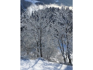 Apartment Wagrain Outdoor Recording 9