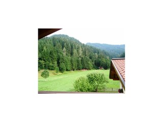 Ausblick