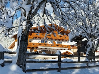 IMG_20231203_130927[1]