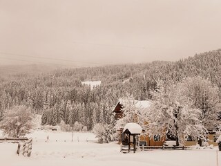 IMG_20231202_094654[1]