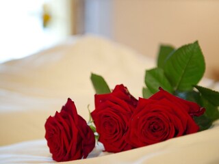 Augenweide | 2 Raum | teilw. Balkon | 40m²