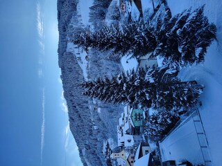 Aussicht-Doppelzimmer-Wagrain-Haus-Ortsblick