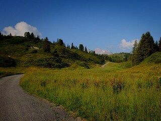 DSCF6719