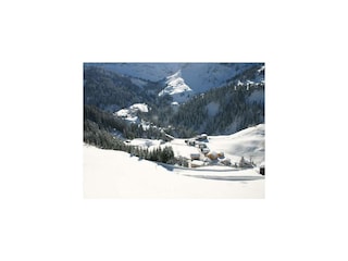 Villa Natur ...wohnen der anderen Art.