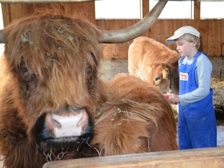 Winter-Herbst 2013 062