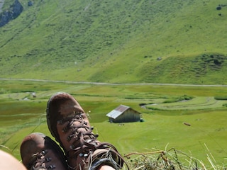 auenfeld und ochs 030