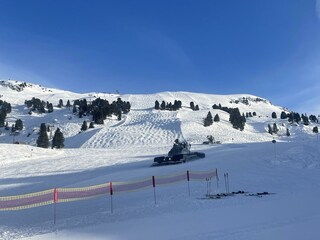 IMG_9531