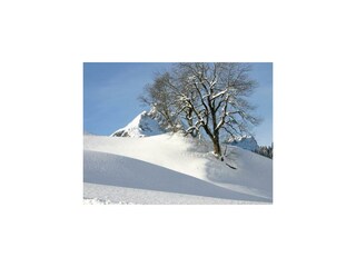 villa_natur_wohnen_der_anderen_art_97_schroecken