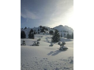 IMG-20171229-WA0054