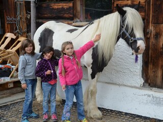 2012 sommer 121