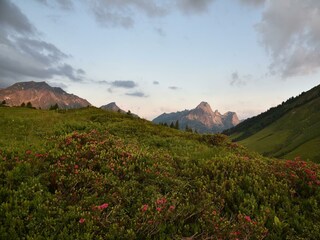 large-hochtannbergpass-sommer23-c-guenter-drexel-9