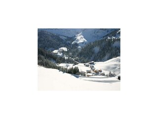 Villa Natur ...wohnen der anderen Art.