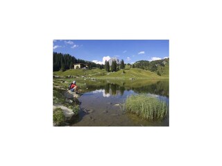 Naturjuwel Körbersee