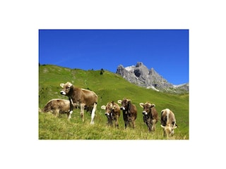 Im Hintergrund der Widderstein