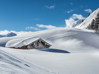 large-810-3306-bearbeitet