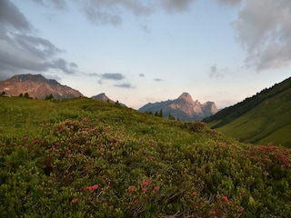 large-hochtannbergpass-sommer23-c-guenter-drexel-9