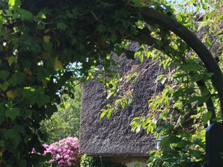 Ferienwohnung Borgsum Ausstattung 6