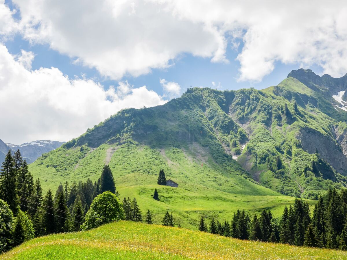Blick zur Fell Alpe mit Hochberg