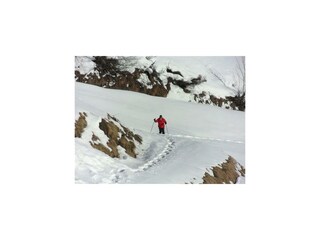 Schneeschuhwanderung Auenfeld