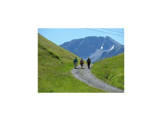 Wanderung Auenfeld