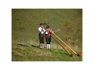 Alpenblick-Alphornbläser