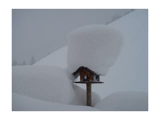 Alpenblick-Vogelhaus