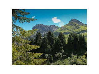 Blick vom Schlafzimmer und Terrasse aus