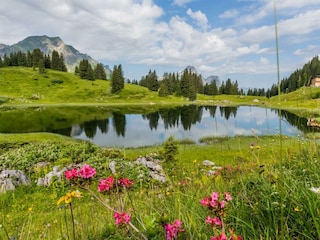 Naturjuwel Körbersee (c) Warth-Schröcken Tourismus