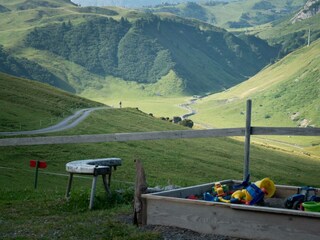 DSCF6806