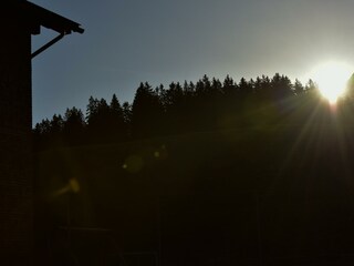 _DSC0179
