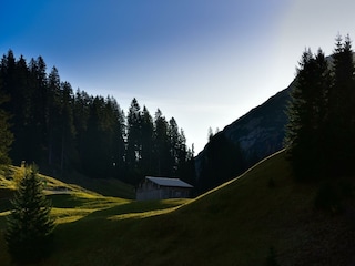_DSC0215