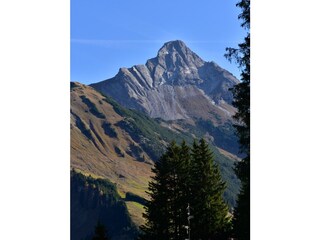 _DSC0467