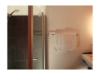 Bad mit Dusche und WC der Wohnung "Falken"