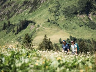 traumhafte Landschaft