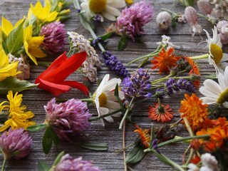 Blumen
