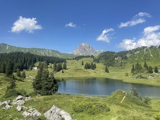 IMG_1031