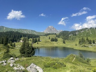 IMG_1031