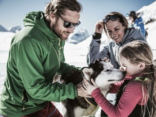 Die Huskies sind die Lieblinge aller