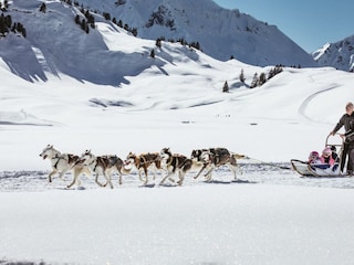 huskey-schlittenfahrt-kinder