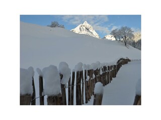 tiefverschneiter Winter